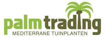 Mediterrane Tuinplanten palmtrading