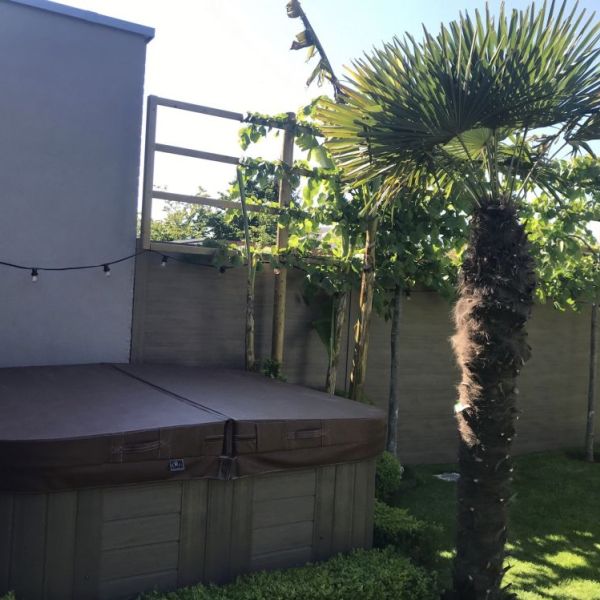 Palmboom-aan-jacuzzi