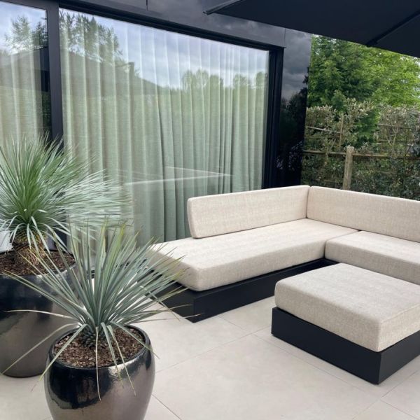 Yucca rostrata combi